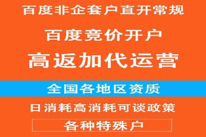 谷歌SEM广告投放的ROI优化：一家科技公司的成功经验